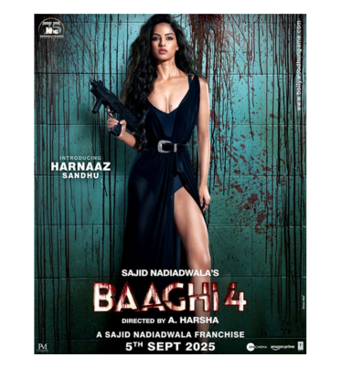 Baaghi 4